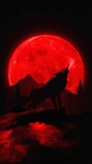 The dark woof group