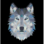 Wolfpack89