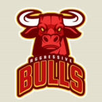 *BULLS*