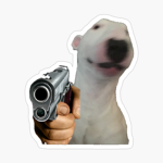 WalterHere