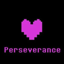 Perseverance icon
