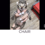 Meme group of meh friends