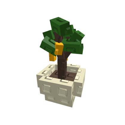Lemon Tree