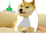Doge's Scientific Team