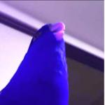 TheSoyCrew