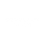 consulum.team