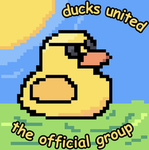 the ducks united (official group)
