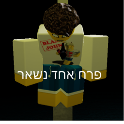(version 1.1)------פרח אחד נשאר