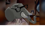Dr Elephants Fan Club