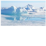 Arcticgang
