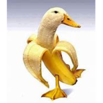 The Duck That Is A Banana