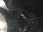 Lyvia123boi