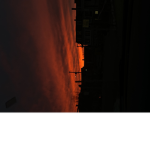 Sunshine_Club