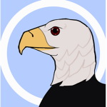Eagles Of The Sky