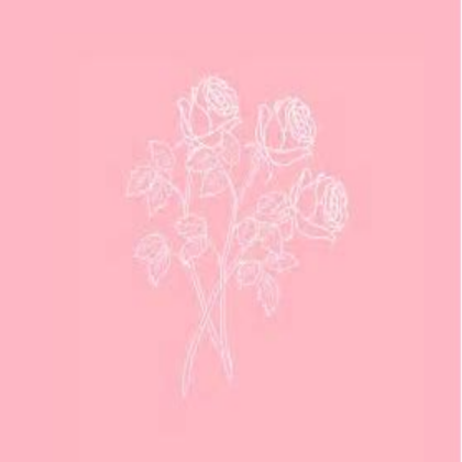 Pink Roblox decal