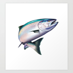 Salmonsteen