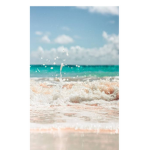 Seascape vibes