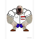 walter the dog community