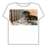 BB fashion .) we put the real in your clothes.