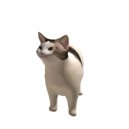 pop cat suit