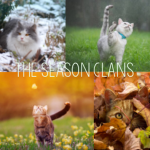 { ‘ The Season Clans ‘ }