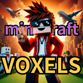 VOXELS