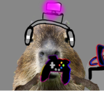 Team Capybaryx