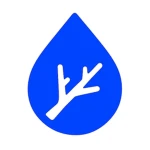 Waterwood Studio Group Thumbnail