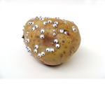 Potato Development LTD