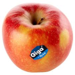 apple gruop