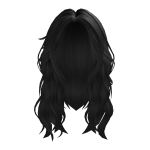 Black Fluffy Layered Hair