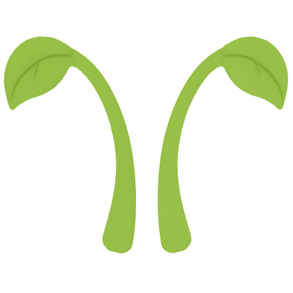 leaf sprout