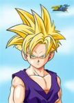 the last super saiyan warriors