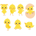 The tiny chicks