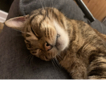 The cute happy place to smile!