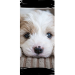 #puppy world play