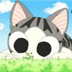 SMUG CAT FAN CLUB!!