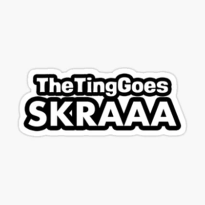 skrraskrra apparel Roblox group icon