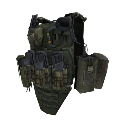 RVS Plate Carrier (Ranger Green Ver.)