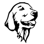 Declan's Dog Group!