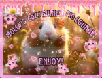 ~MOLLY’S COZY GUINEA PIG LOUNGE!~