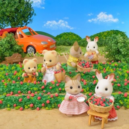 ୧🍓
