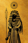 Amugus grande