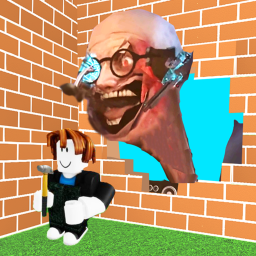 Developer Place