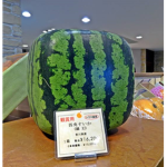 A Random Watermelon