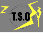 The Shock Organization