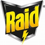 The raiders of roblox 2.0
