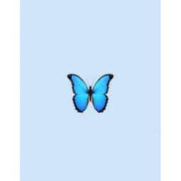 Theogbluebutterflies's Chill obby