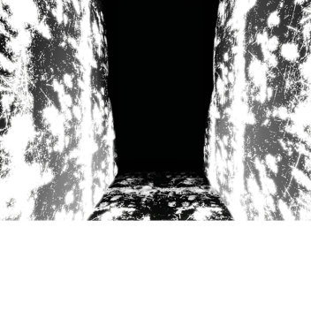 Home?