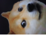 Roblox perrss